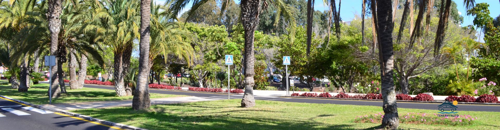 Mietwagen Playa de las Americas | Teneriffauto